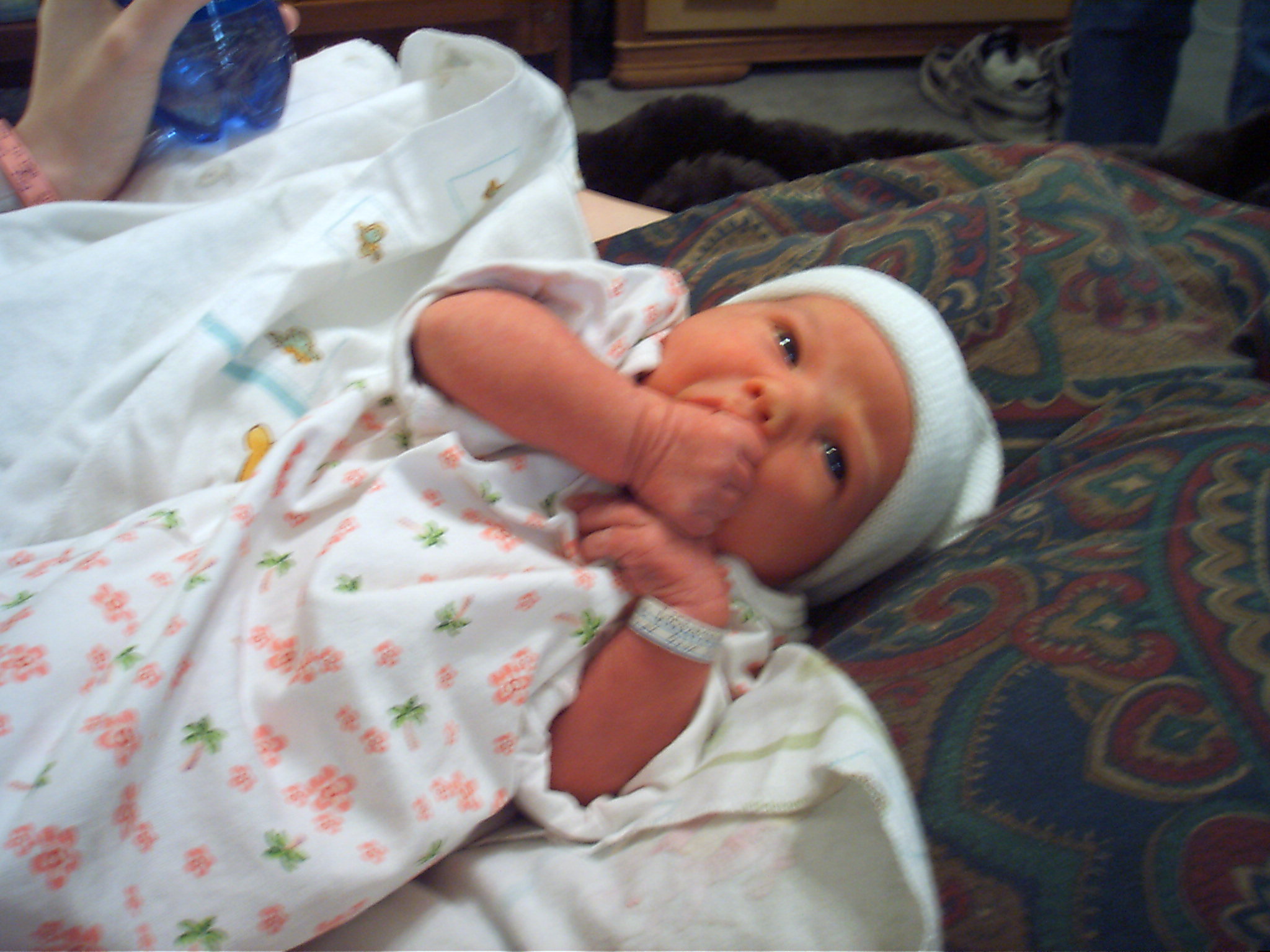 cam_0094.jpg
